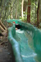  2007-12-10 15.04.25.JPG 